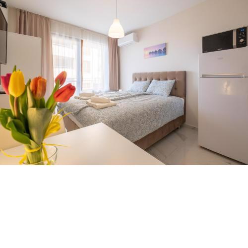 Sunny Dream Apartments