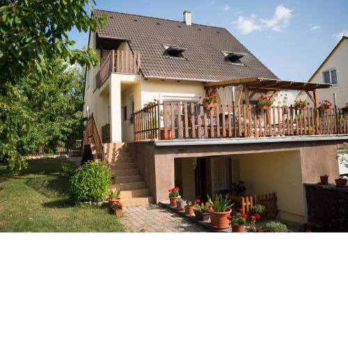 Sunny Garden
