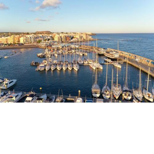 Sunny-Harbour