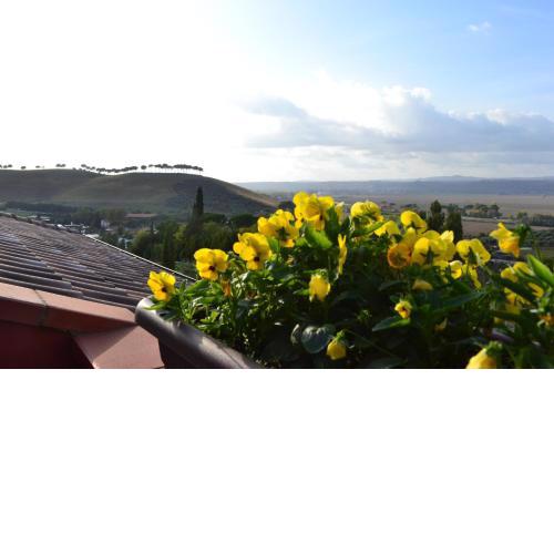 Sunny Hill's Home
