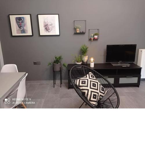 Sunny Penny's Modern Apartment