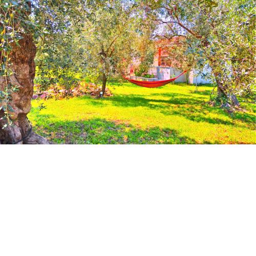 Sunray Separate Villa