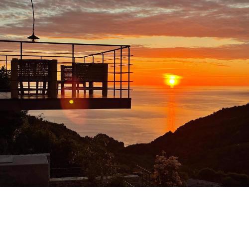 Sunrise Garden Hills