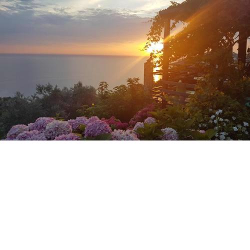 SUNRISEVIEw SUITE and Gallery