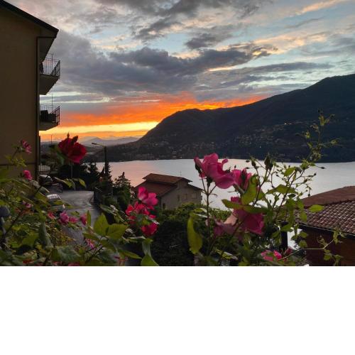Sunset Feel House