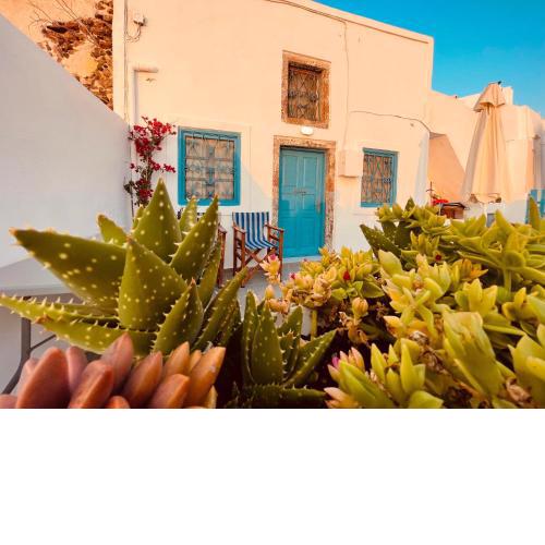 Sunset Queen in Oia