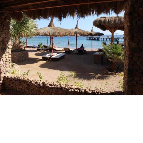 Sunshine Divers Club - Il Porto