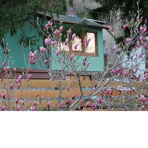 SUNSHINE house