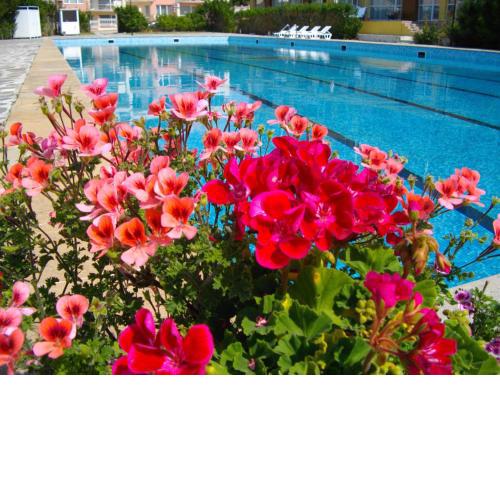 Sunshine Pearl Family Hotel
