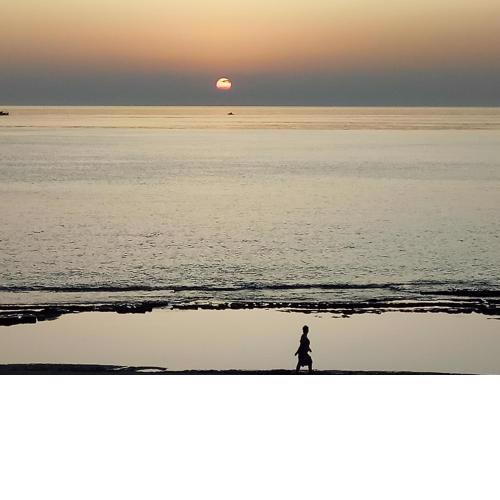 Sunsise Beauty by Zavolas Family - Limni Z3