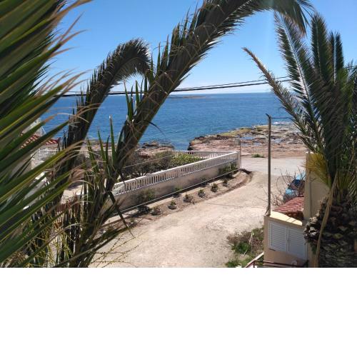 Surf House