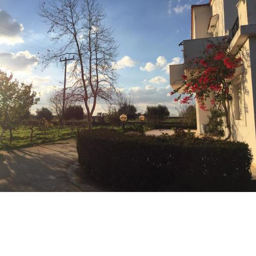 Swan House Panoramic View - Near the sea
