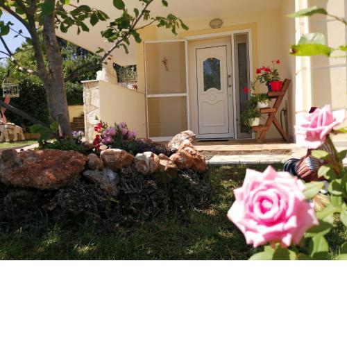 Swan's garden olympus luxury apartment