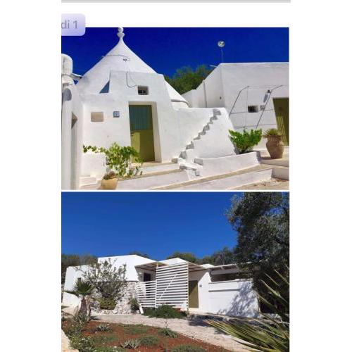Syconium Trullo and Lamia Gea