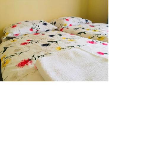 SZL 119 Apartmanok