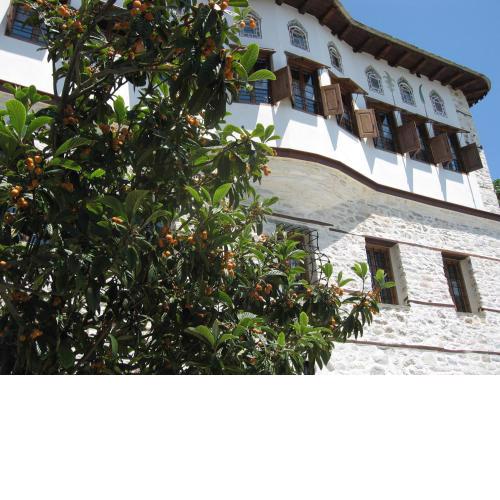 Ta Xelidonakia