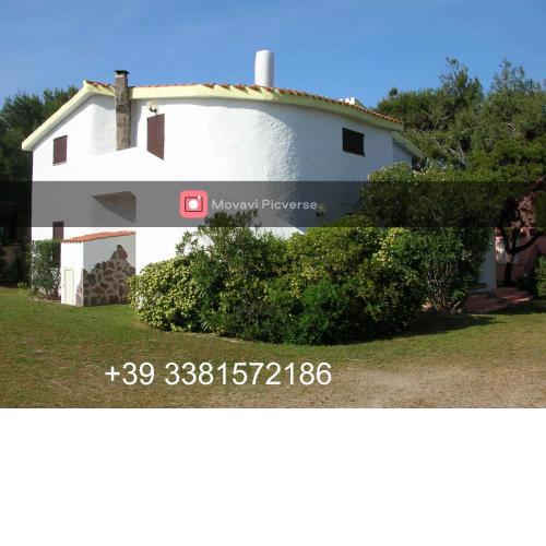 Tabarka House