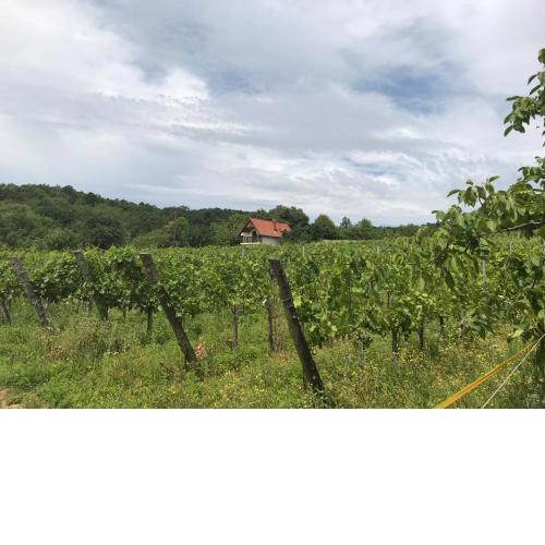 Tagyon Birtok Panoráma Apartman