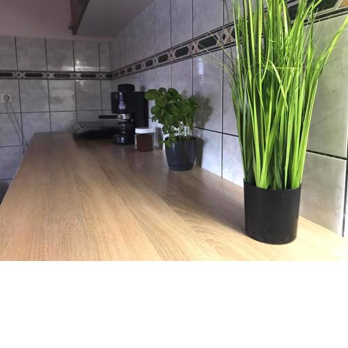 Tahiti Apartman