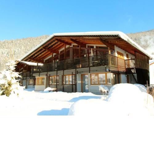 Tasteful bright apartment in the Kitzb heler Alps