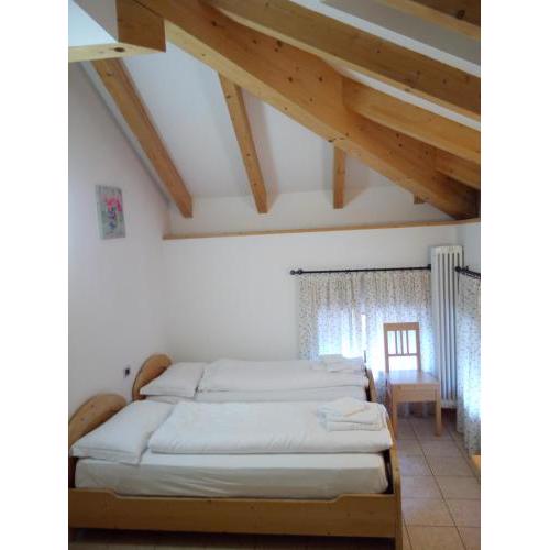 Taxus Hostel