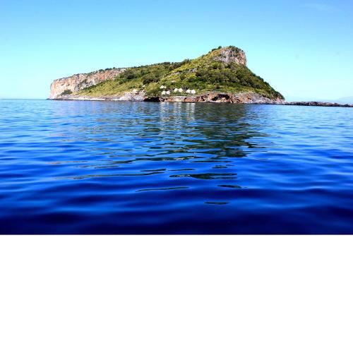 Tea Isola Dino - Praia a Mare