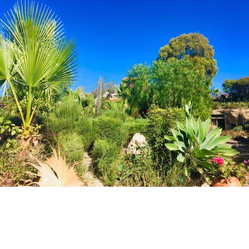 Tenerife Nature Retreat