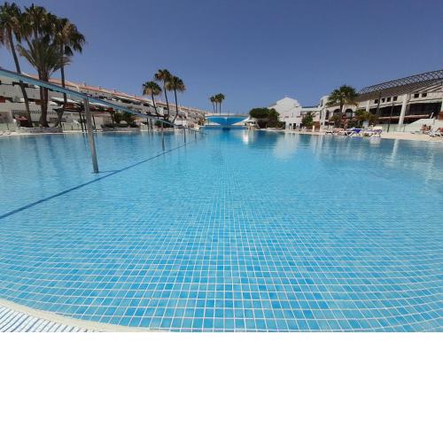 Tenerife parque Don José 219