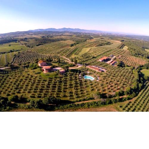 Tenuta Agricola Fraschiera