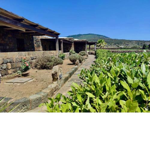 Tenuta Bukkuram