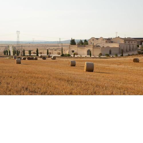 Tenuta Danesi
