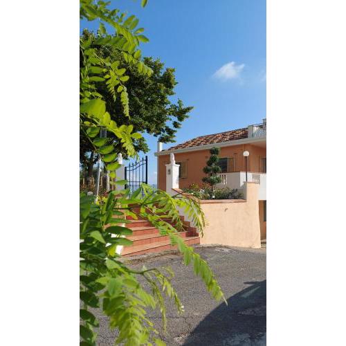 Tenuta dei Biondi Ulivi B&B