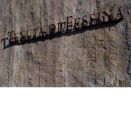 Tenuta di Fessina