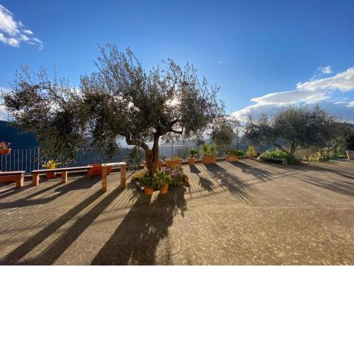 Tenuta Guardavaglia