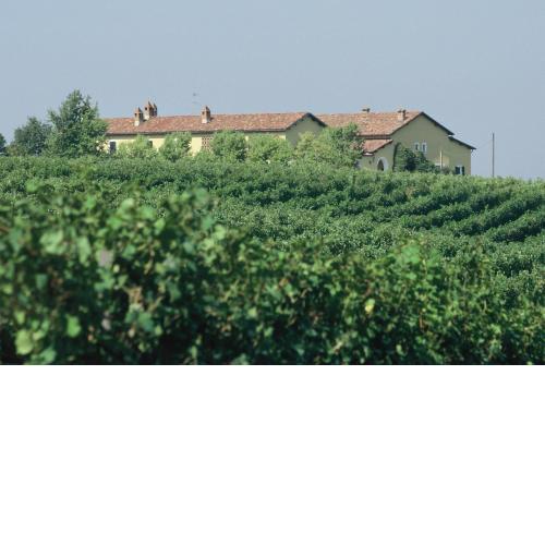 Tenuta "La Meirana"