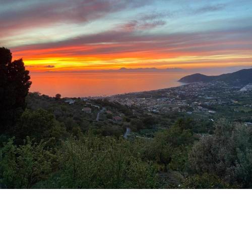Tenuta La Panoramica