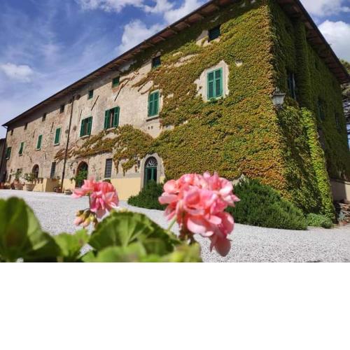 Tenuta Mocajo