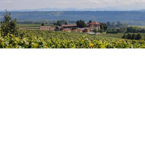 Tenuta Montebello