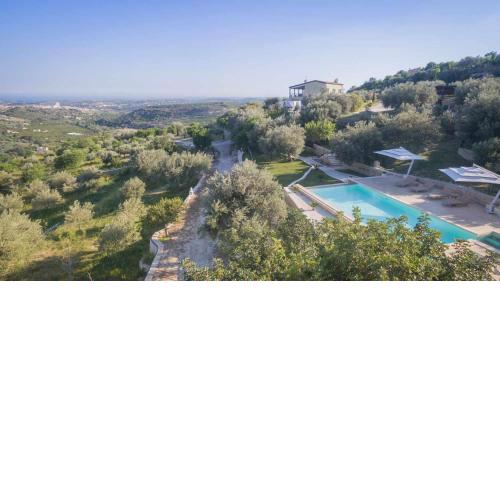 Tenuta Olive Alive