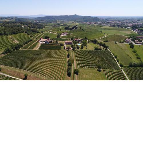 Tenuta Perusini