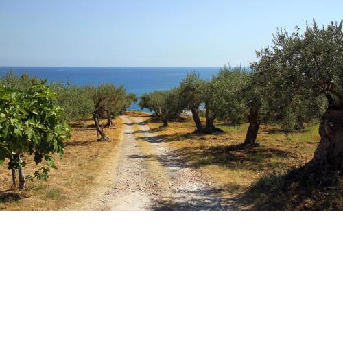 Tenuta Petreria 2 con acesso diretto al mare