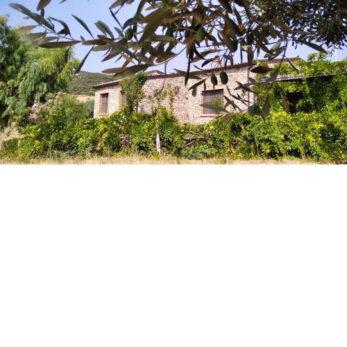 Tenuta Rara Avis