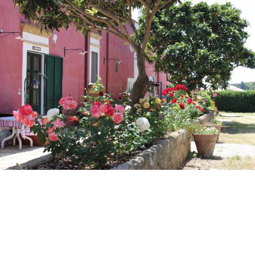 Tenuta Santa Rosa
