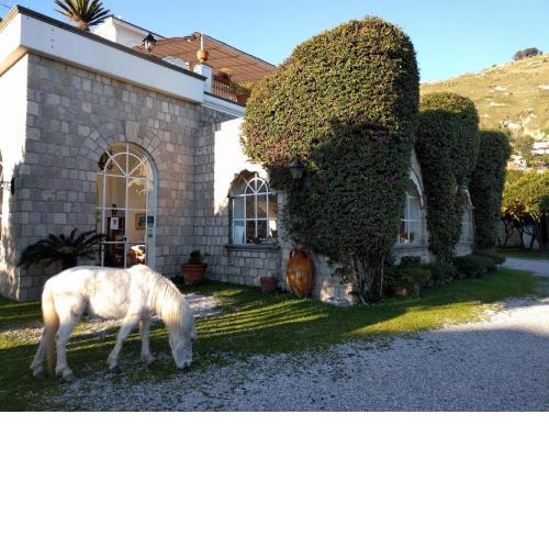 Tenuta Villa Tara