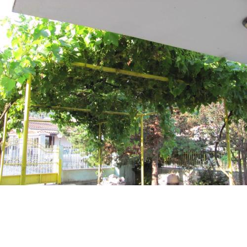 TERPSITHEA's HOUSE