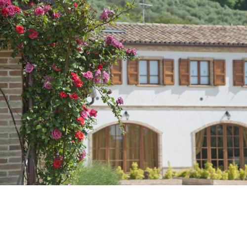 Terra Del Sole