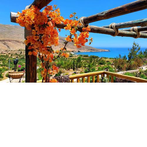Terra Minoika Boutique resort