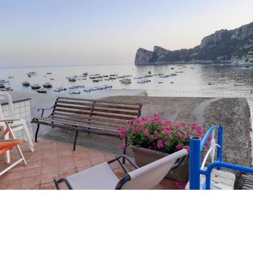 Terrace On The Sea