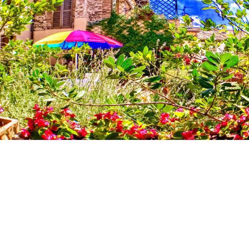 Terrazza Bella/sleeps 4/spoleto/car Not Necessary