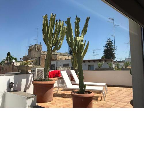 Terrazza con Vista